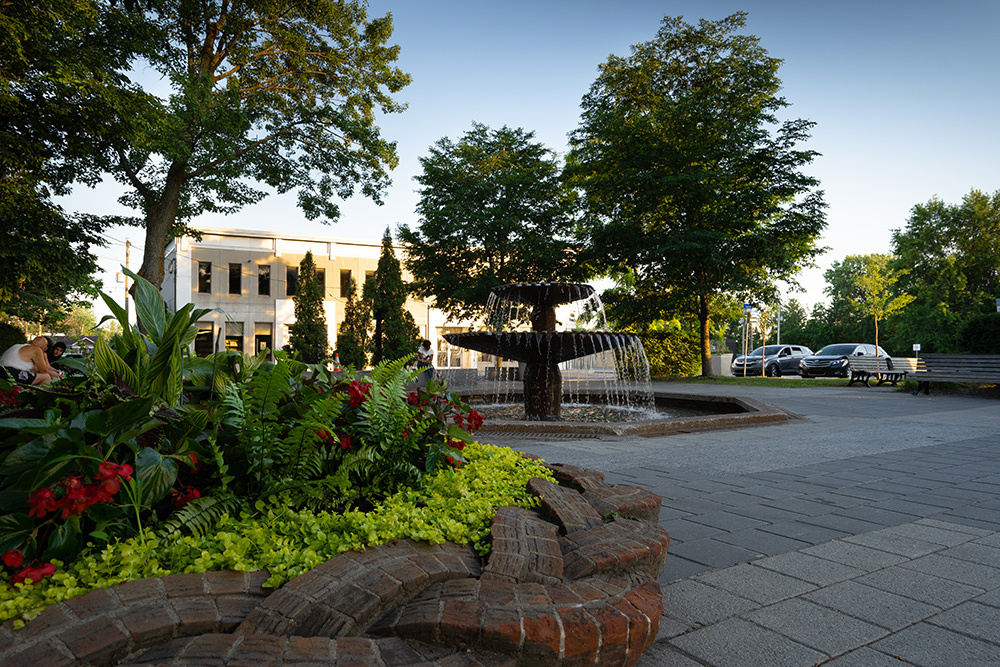 Promenade à SainteDorothée Magazine